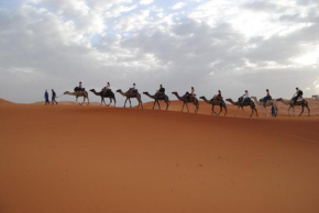 Desert Experience Camp
